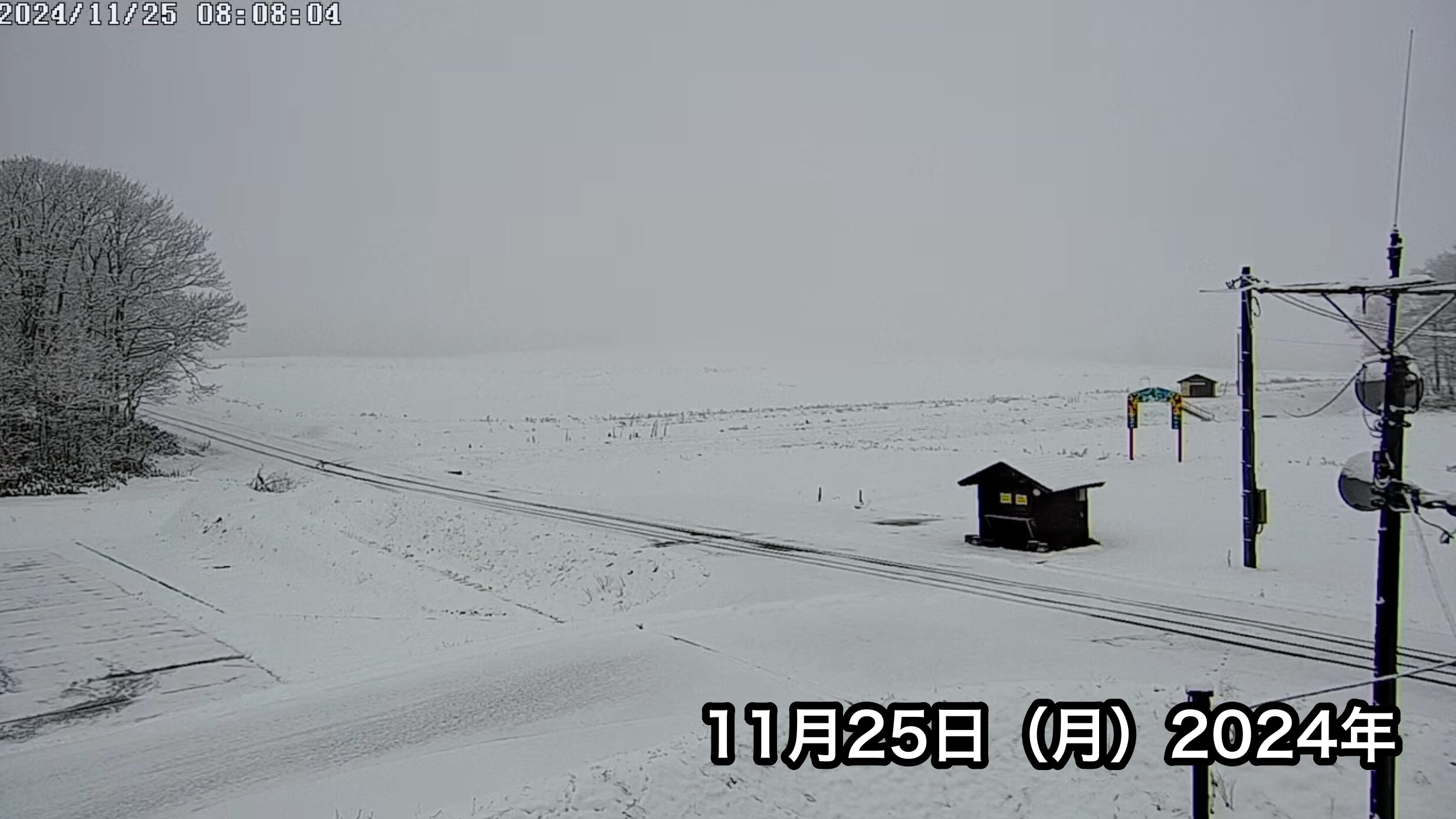 Live Streaming of Hokuryu-cho Sunflower Tourist Association