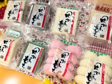 冬のおすすめ商品紹介します 🌟 この時期にしか食べられない『 田からもちの餅』です。北竜町のはくちょうもちを100%使ったお餅。添加物を使わない安全で美味しい手作り餅となっております【サンフラワーパーク北竜温泉】