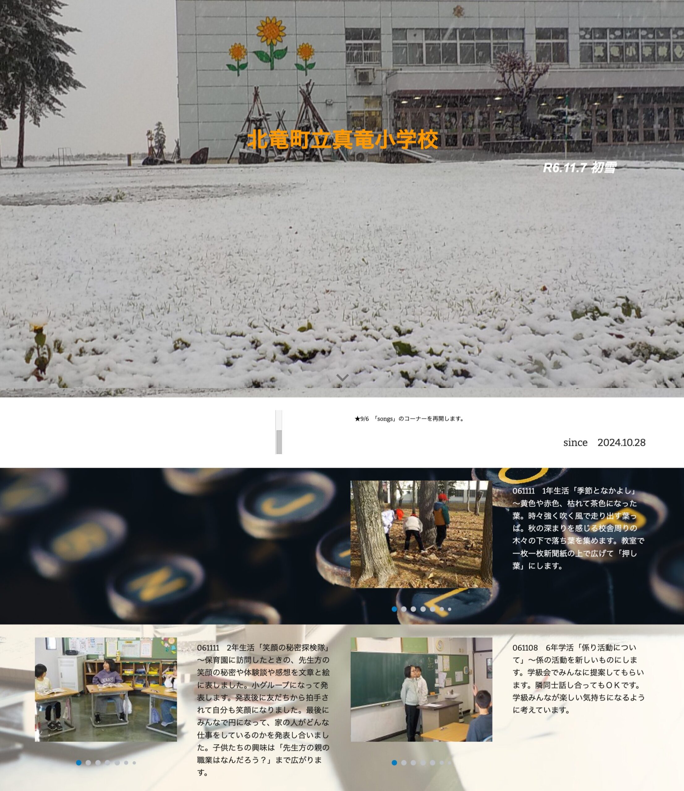 11月11日（月）　1年生活「季節となかよし」～黄色や赤色、枯れて茶色になった葉。時々強く吹く風で走り出す葉っぱ。秋の深まりを感じる校舎周りの木々の下で落ち葉を集めます【真竜小学校】