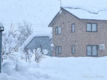 降りしきる雪景色