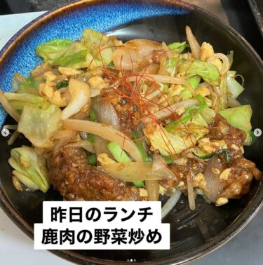 🌻 आज का दैनिक दोपहर का भोजन: सब्जियों के साथ तला हुआ हिरन का मांस [हिमावारी रेस्तरां]