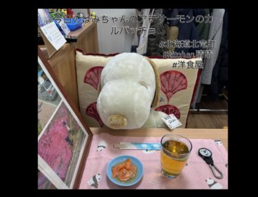 2月13日（木）今日のはみちゃんのアテ・サーモンのカルパッチョ【kitchen晴晴】