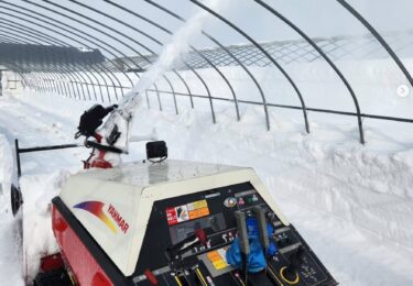 ひまわりすいかハウスの除雪作業【（株）高田】