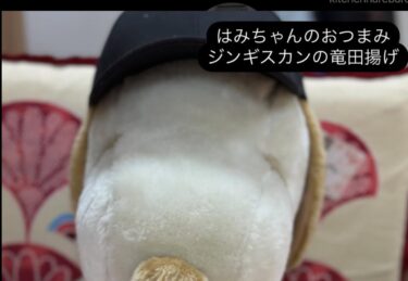 25 Şubat (Salı) Hami-chan'ın bugünkü atıştırmalığı: Tatsuta sosunda kızartılmış Cengiz Han [Kitchen Seisei]