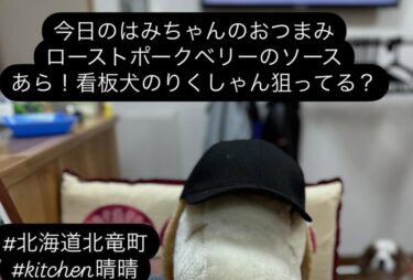 ☀️☀️今日のはみちゃんのおつまみ：ローストビーフベリーのソース【kitchen晴晴】