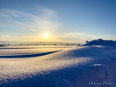厳冬の黄金の輝き
