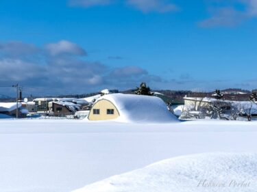 心ときめく雪のロールケーキ