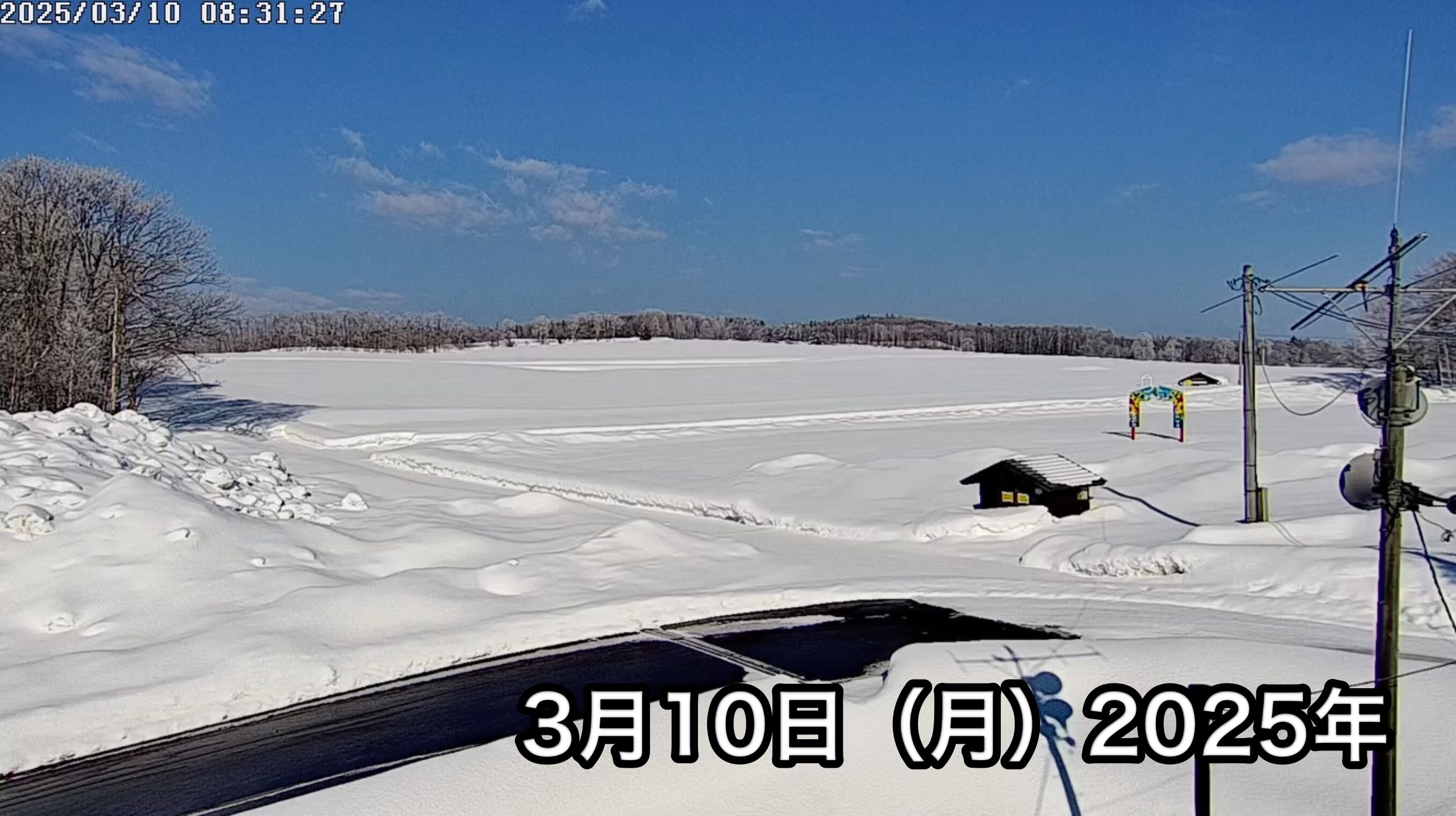 北流镇向日葵旅游协会的现场直播。