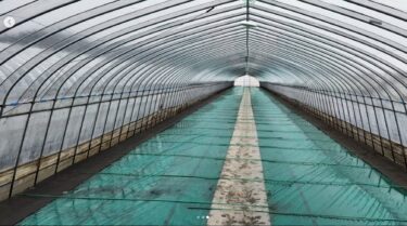 3月29日（土）寒いです。ひまわりすいか・早いタイプのハウスの準備完了【（株）高田】