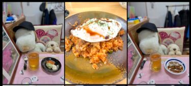 ☀️🌞 Ngày 29 tháng 3 (Thứ 7) Bữa ăn hôm nay: Cơm gà với thịt gà thái miếng, rất ngon 😊 [kitchen Seisei]