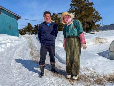 【ひまわりすいか栽培・接木】杉本克裕ファーム【北竜ひまわりすいか生産組合】