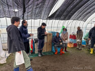 [Günəbaxan qarpızının becərilməsi və tingi turu və ictimai toplantı] Toshinari Vatanabe, Kosuke Sato, Katsuhiro Sugimoto, Michiyoshi Izaki, Hiromi Tsuzuki və Akimitsu Takada Takada Co., Ltd. [Hokuryu Günəbaxan Qarpız İstehsalçıları Assosiasiyası]
