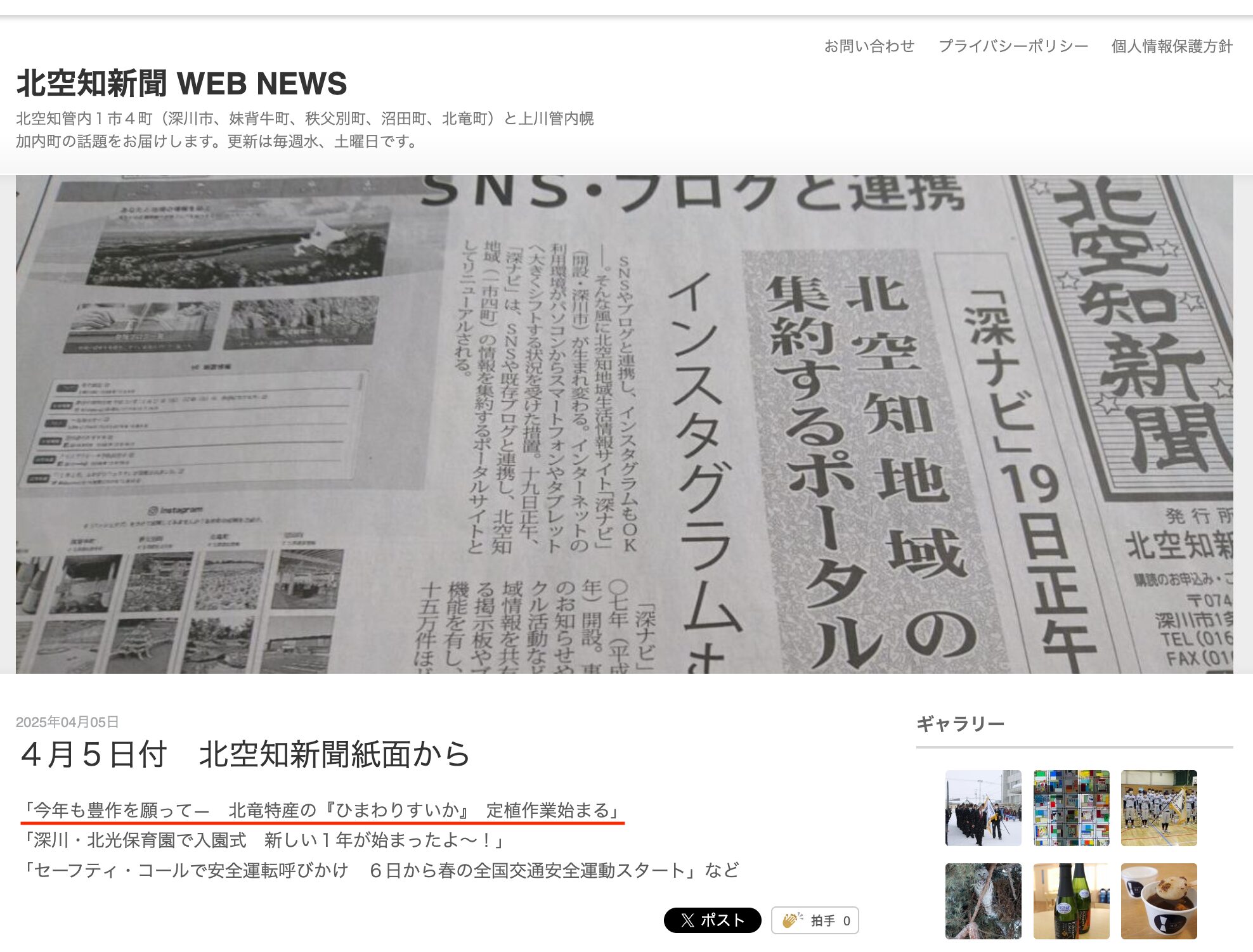 今年も豊作を願って―　北竜特産の『ひまわりすいか』　定植作業始まる【北空知新聞】