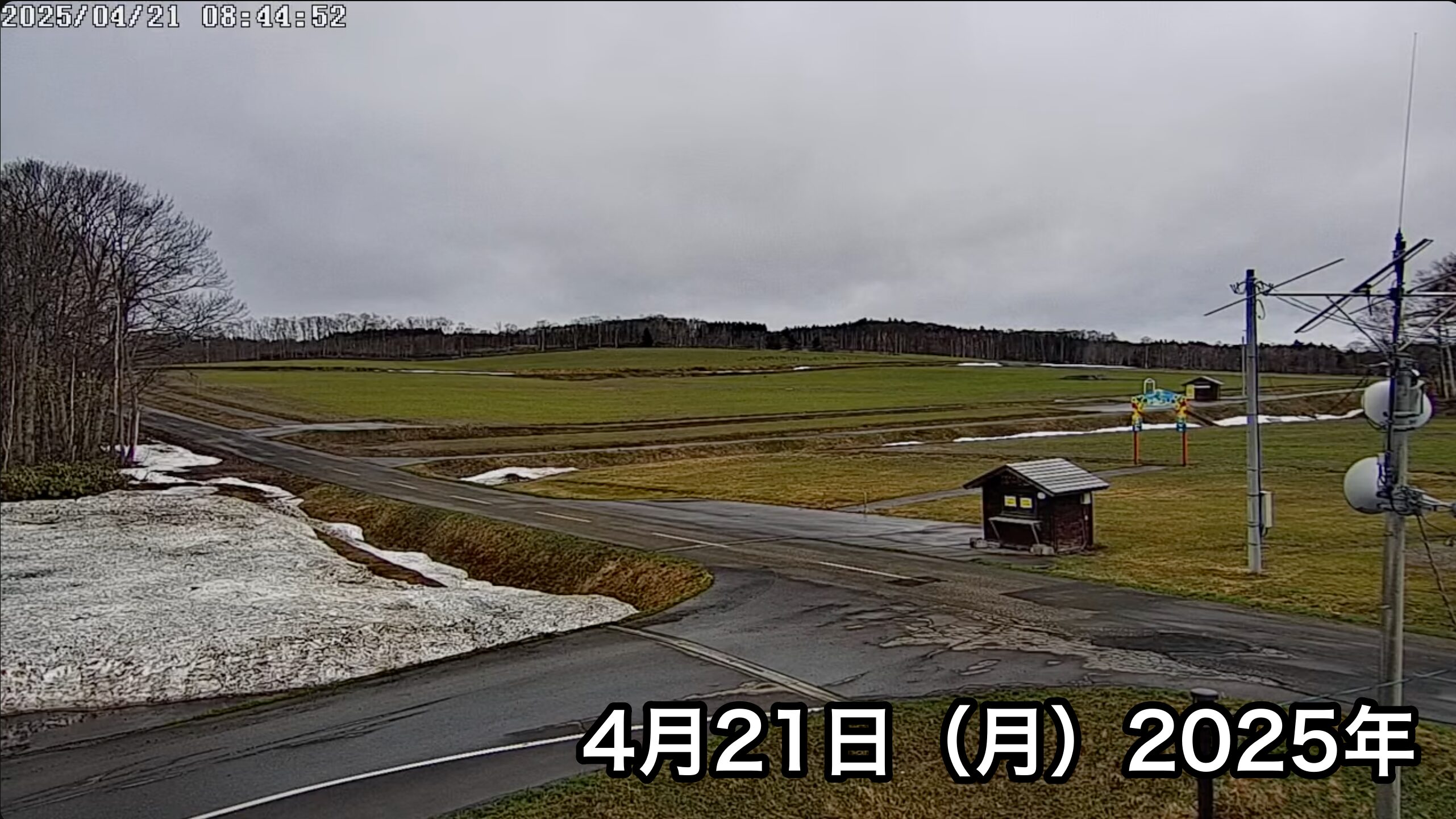 Live Streaming of Hokuryu-cho Sunflower Tourist Association