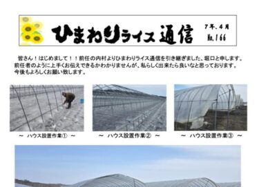 Günəbaxan düyü bülleteni № 166, aprel 2025 [JA Kitasorachi Hokuryu filialı]