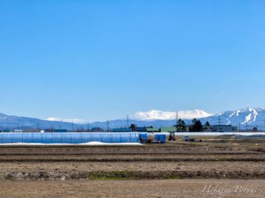 北竜町のスーパー鉄人・亡き米田穣先生が誇る雄大な「旭岳」「恵岱岳」！