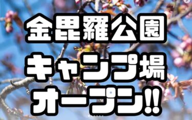 北竜町ひまわり観光協会です🌻 今回より新たに協力隊として着任した酒井がヒマワリに関するリアルタイムな情報や北竜町の観光に関する発信を致します。よろしくお願い申し上げます🙇【北竜町ひまわり観光協会・酒井優斗】