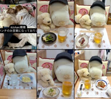 ☀️🌞 5月6日（祝）はみちゃんのおつまみ等【kitchen晴晴】