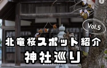 北竜町内の桜スポット紹介 Vol.5： 今日は北竜町内にある3箇所の神社の桜をそれぞれ紹介したいと思います! ⛩️ 🌸【北竜町ひまわり観光協会・酒井優斗】