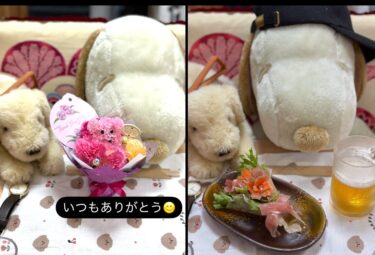 ☀️🌞 5月11日（日）今日は母の日 マスターとめいちゃんとりくしゃんと店長🎁 はみちゃんいつもありがとう😊 これからもよろしくね【kitchen晴晴】