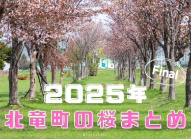 होकुर्यु टाउन में चेरी ब्लॉसम स्थलों का परिचय और सारांश: यह चेरी ब्लॉसम के उन दृश्यों का अंतिम संग्रह है जो हम मई की शुरुआत से प्रस्तुत कर रहे हैं। अंत में, हम अब तक प्रस्तुत किए गए स्थलों का सारांश प्रस्तुत करेंगे। [होकुर्यु टाउन सनफ्लावर टूरिज्म एसोसिएशन, युतो साकाई]