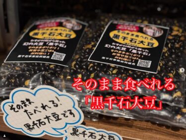 हमने कुरोसेंगोकू श्रृंखला की प्री-सेल शुरू कर दी है ❤ ❤ कृपया इसे आज़माएँ 😊 [कुरोसेंगोकू बिजनेस कोऑपरेटिव एसोसिएशन, प्रबंध निदेशक]