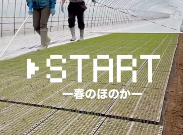 2025年春：全国の農家さん毎日お疲れ様です！北海道はこれから田植えです ♪ がんばります！ いいお天気に恵まれますように ⭐️【農事組合法人ほのか】
