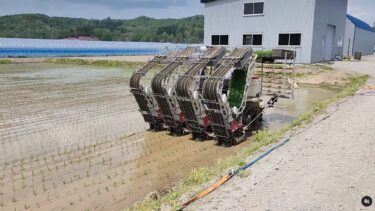 5月17日（日）田植機の方は古いですが順調【（株）高田】