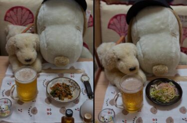 ☀️🌞 5月16日（金）・5月17日（土）はみちゃんのおつまみ：今日は暑いので ラーメンサラダとビール 🍺【kitchen晴晴】