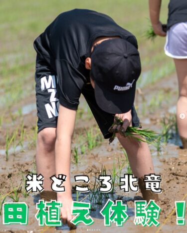 真竜小学校の5年生による田植え体験学習の様子をご紹介します ♪【北竜町ひまわり観光協会・酒井優斗】