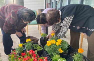 デイサービスのご利用者様とお花植えをしました!皆さん、仕事が早くてあっという間に終わってしまいました (^_^)【特別養護老人ホーム永楽園】