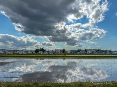 Gümüş grisi bulutların ve unutma beni renkli gökyüzünün bir araya geldiği bir manzara