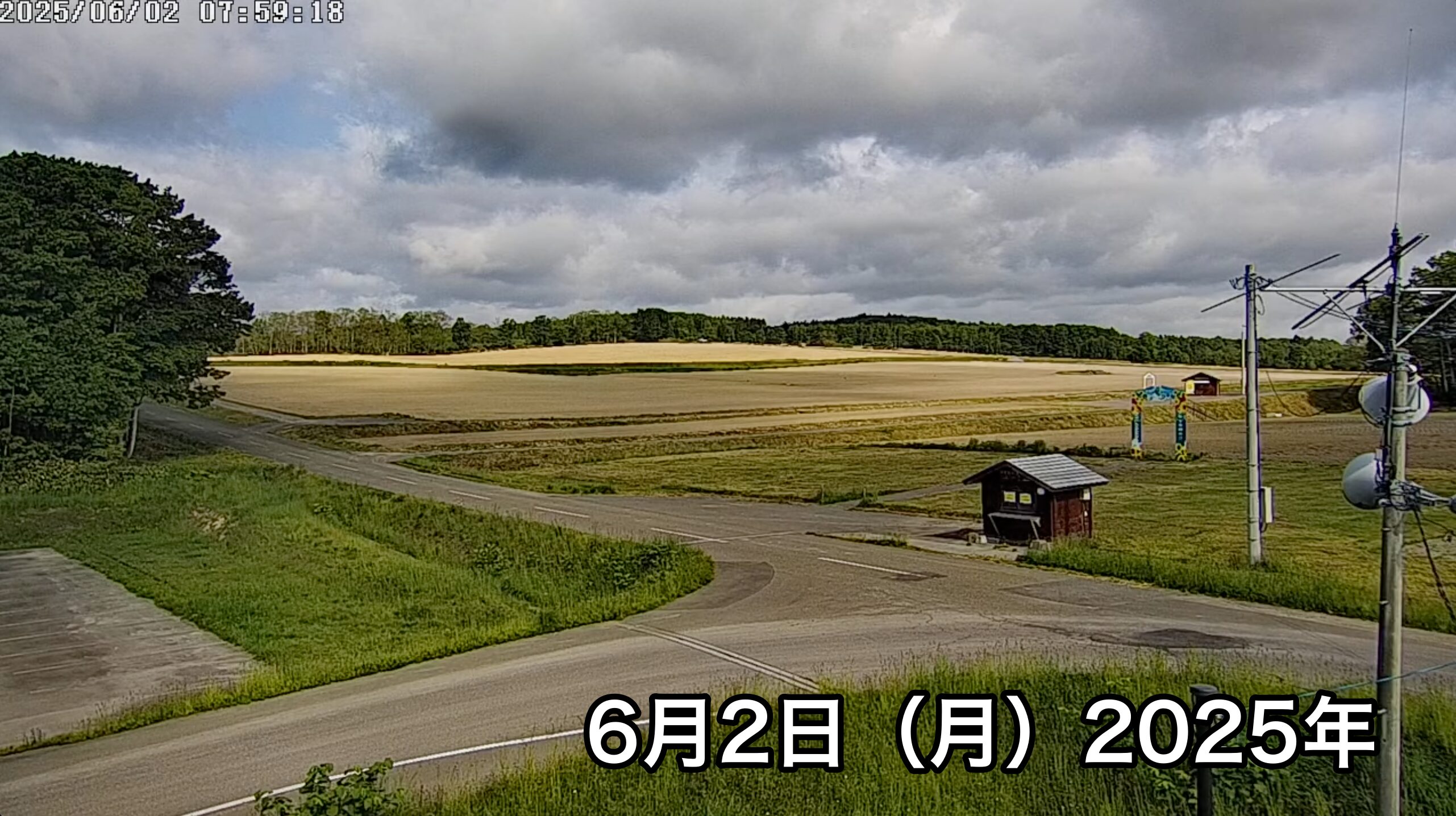 Live Streaming of Hokuryu-cho Sunflower Tourist Association