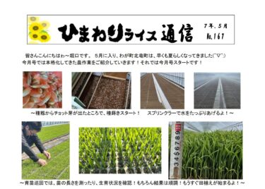 ひまわりライス通信 No.167・令和7年5月【ＪＡきたそらち北竜支所】