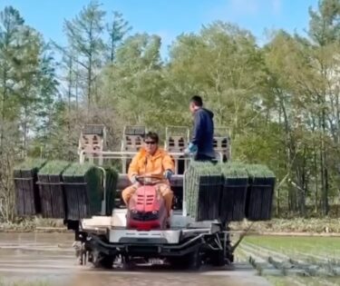 Xin mời các bạn cùng xem hoạt động trồng lúa của chúng tôi diễn ra trong 10 ngày từ 18/5 (Chủ Nhật) đến 27/5 (Thứ Ba) 👀 [Hợp tác xã Nông nghiệp Honoka]