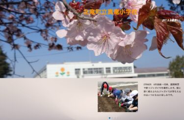 6月5日（木）6年家庭～将来、調理実習で使うジャガイモを栽培します。畝に深く植えられたジャガイモが芽生えるのはいつになるか楽しみです【真竜小学校】