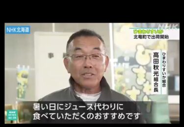 特産「ひまわりすいか」出荷始まる 黄色い果肉が特徴 北竜町【NHK北海道WEB】