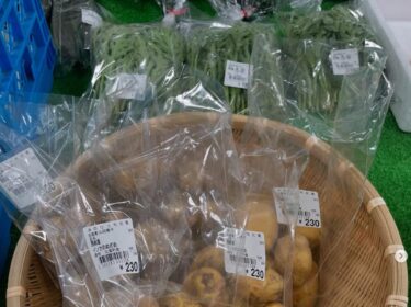 6月14日（土）今日は新じゃがいんかのめざめ、いちご、大根、と初入荷しています。他にもスナップエンドウ 🫛 キューリ、ブロッコリー、キャベツ、アスパラと入りました【みのりっち北竜】