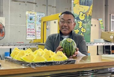 夏のはじまり・ひまわりスイカ出荷です【（株）高田】