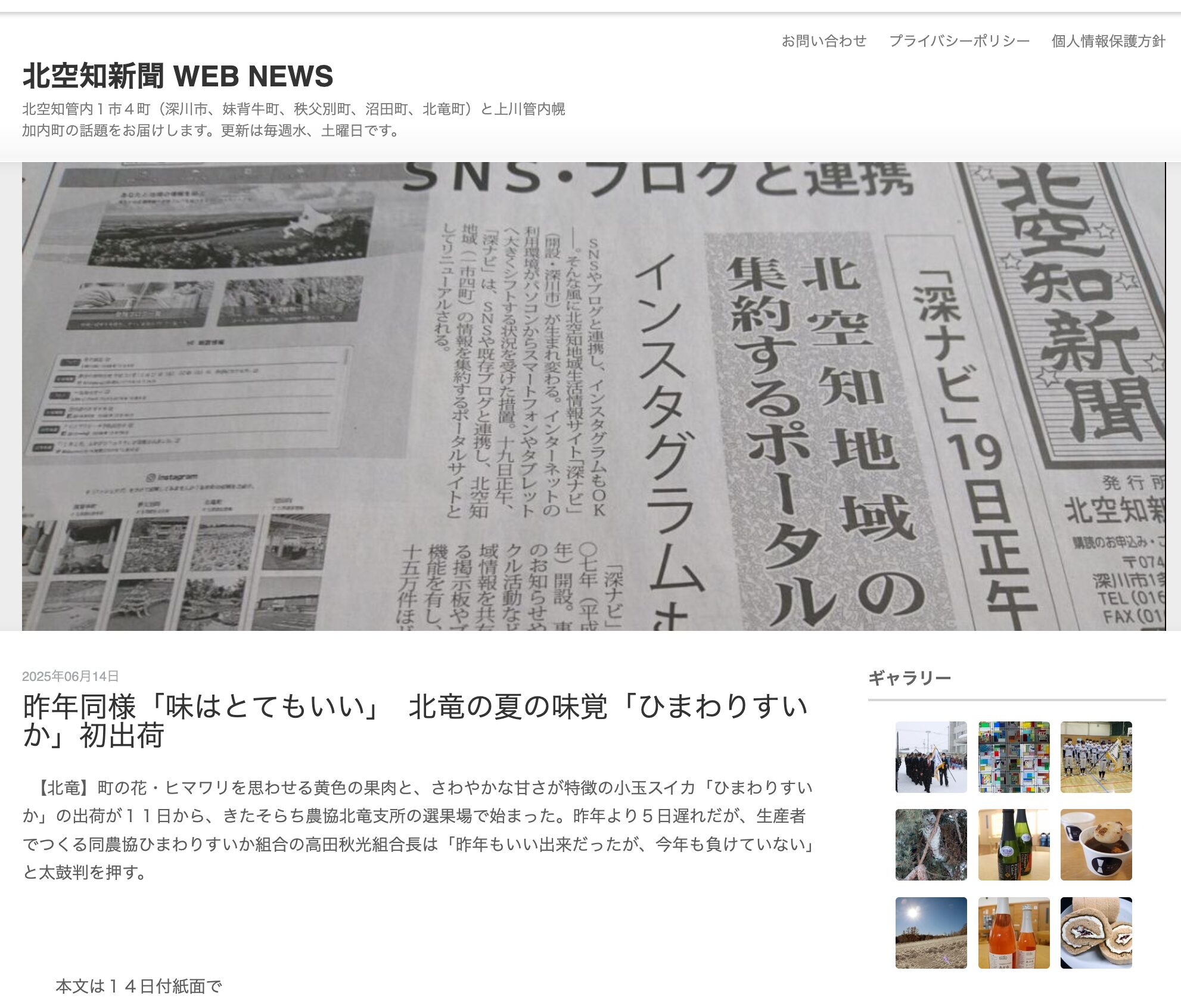 昨年同様「味はとてもいい」　北竜の夏の味覚「ひまわりすいか」初出荷【北空知新聞】