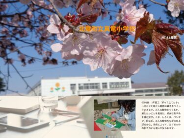 6月16日（月）1年図工「折って立てたら」～立たせた紙から動物の親子をつくっていきます。どんな動物をつくるか、表したいことを見付け、好きな形や色を選びます【真竜小学校】