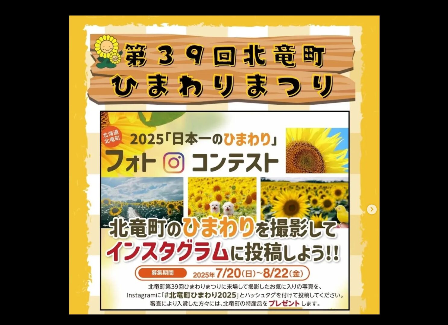 🌻＼今年も開催！／🌻 「日本一のひまわり」フォトコンテスト 📸 ✨ とっておきの瞬間をお待ちしています ♪【北竜町ひまわり観光協会・酒井優斗】