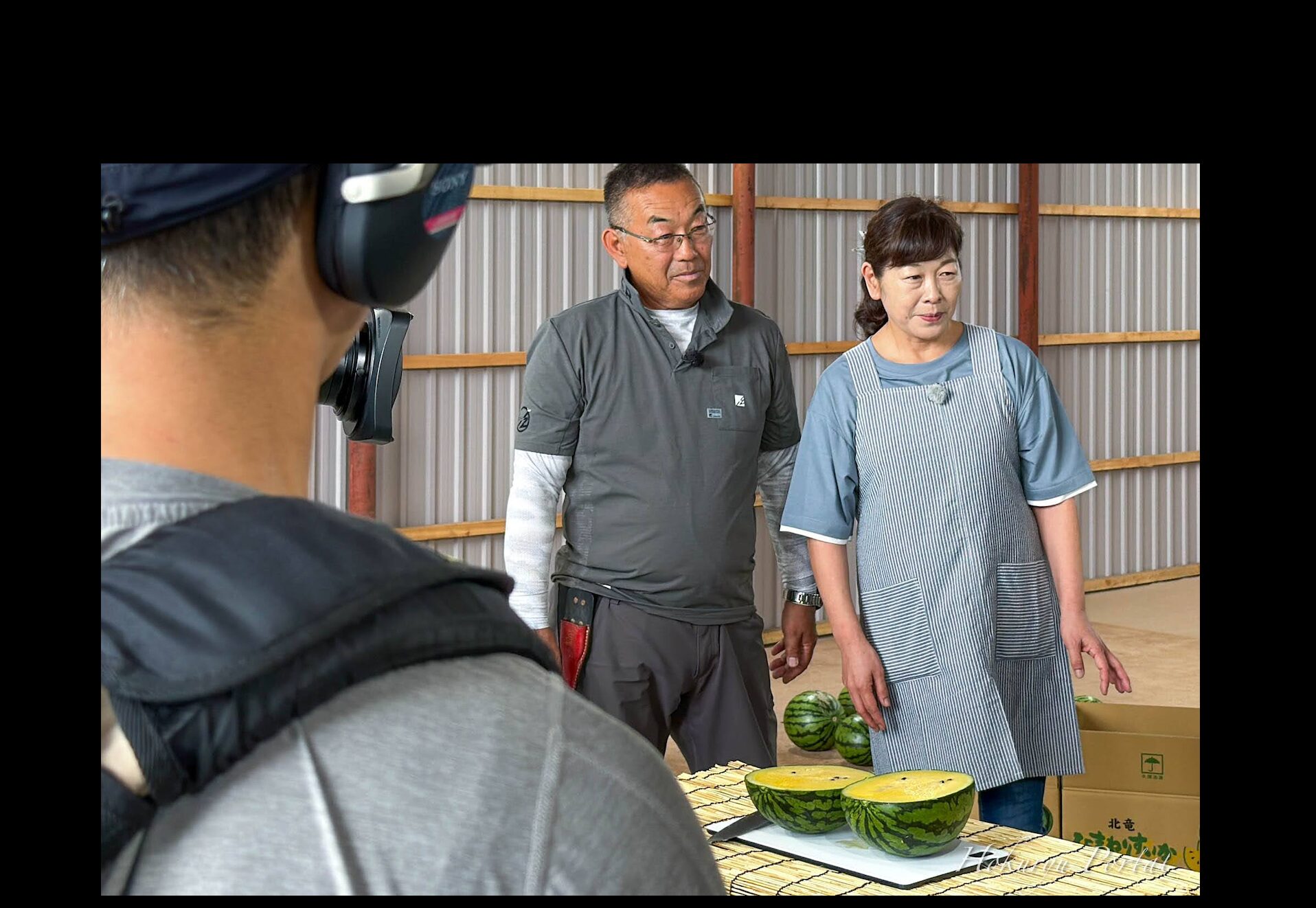 あぐり王国北海道 NEXT（HBC北海道放送）による北竜町ひまわりすいかの取材が（株）高田（高田駿樹 代表）にて実施されました