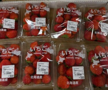 6月23日（月）沢山野菜が揃っています。いちご 🍓、インゲン豆、シュガーグリーン 🫛、キューリ、カリフラワー、茄子 🍆、トマト 🍅 摘果メロン🍈 インカのめざめ と色々揃えてあります【みのりっち北竜】