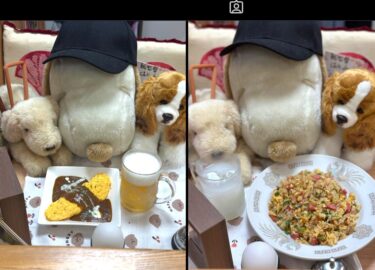 ☀️🌞 Ngày 28 tháng 6 (Thứ 7) Đồ ăn vặt của Hami-chan: Omu-curry và bia 🍺【Kitchen Seisei】