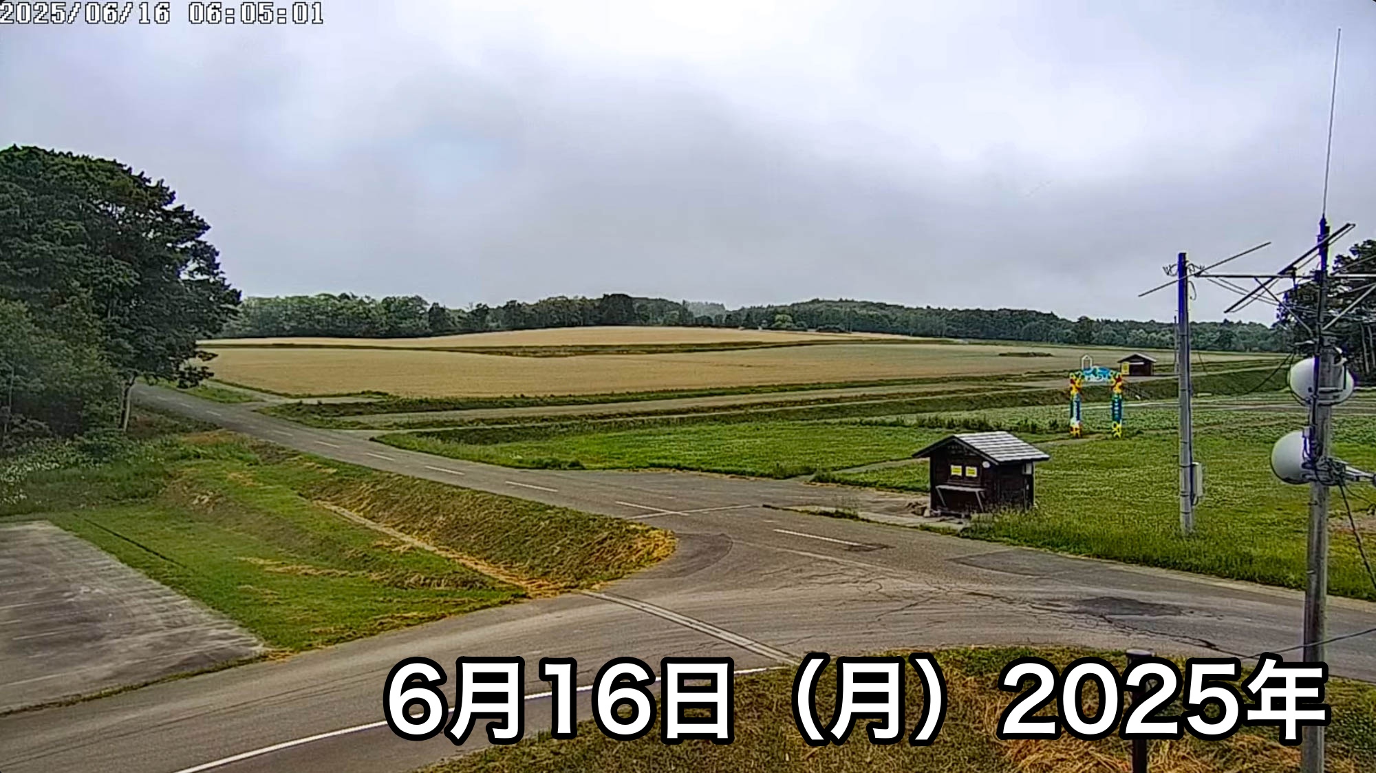 北竜町ひまわり観光協会 のライブ配信