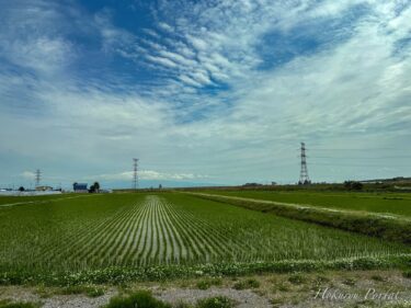 神聖なる「夏至」の日に感謝を込めて!