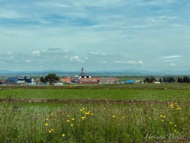 サンフラワーパーク北竜温泉が見守る田んぼの風景