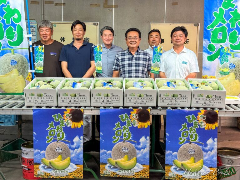 2024年10月北海道 で収穫した 松の実5kg 2024年10月北海道 で収穫した 松の実5kg