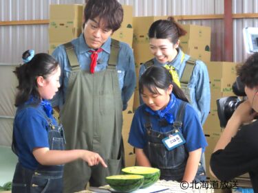 6/28（土）　午後5時からHBC北海道放送・ひまわりが有名な北竜町の特産品「ひまわりすいか」が「あぐり王国北海道NEXT」（HBC北海道放送）にて紹介されます！【JAきたそらち】
